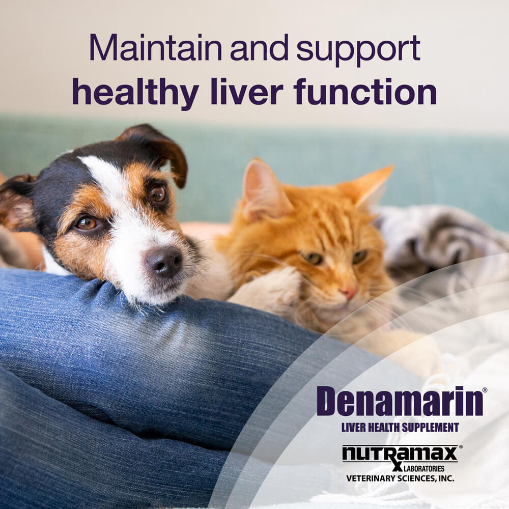 denamarin for cats and small dogs up to 12 lbs  90 mg  30 stabilized tablets