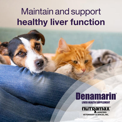 Denamarin for Cats and Small Dogs up to 12 lbs  90 mg  30 Stabilized Tablets