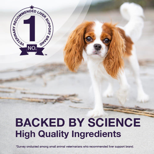 denamarin for dogs  225mg  75 chewable tablets