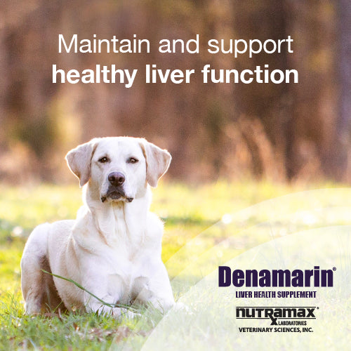denamarin for dogs  225mg  75 chewable tablets