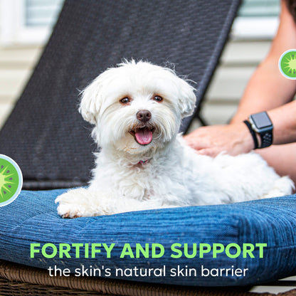 Dermaquin Skin Support Sm/Med Dogs 5-30 lbs & Cats of All Sizes 60 ct
