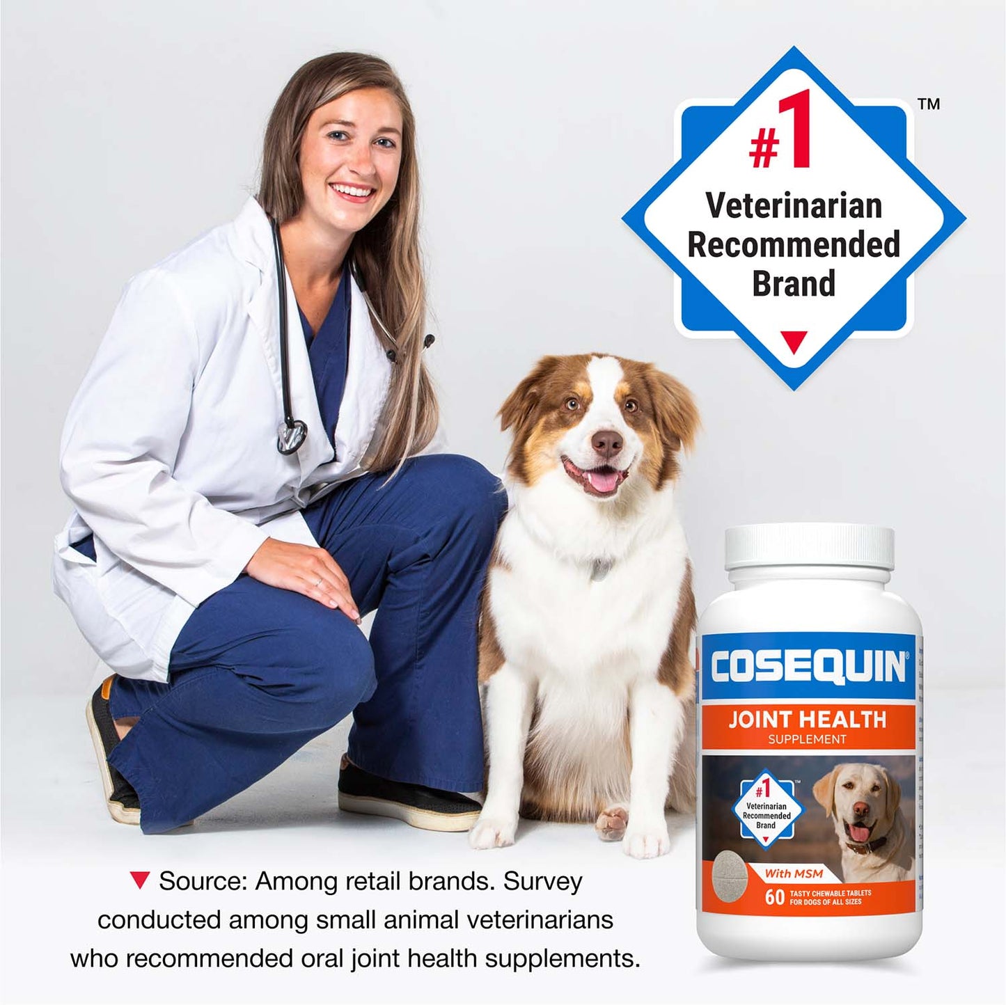 cosequin ds with msm for dogs  60 chewable tablets
