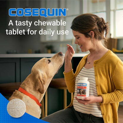 Cosequin DS with MSM for Dogs  60 Chewable Tablets