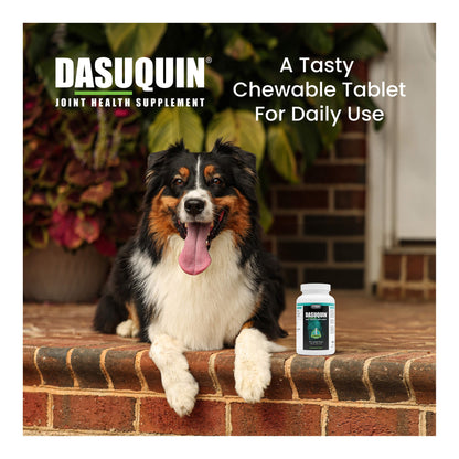 Nutramax Dasuquin for Large Dogs 60lbs and Over, Joint Health Supplement, Chewable Tablets, 84 Count