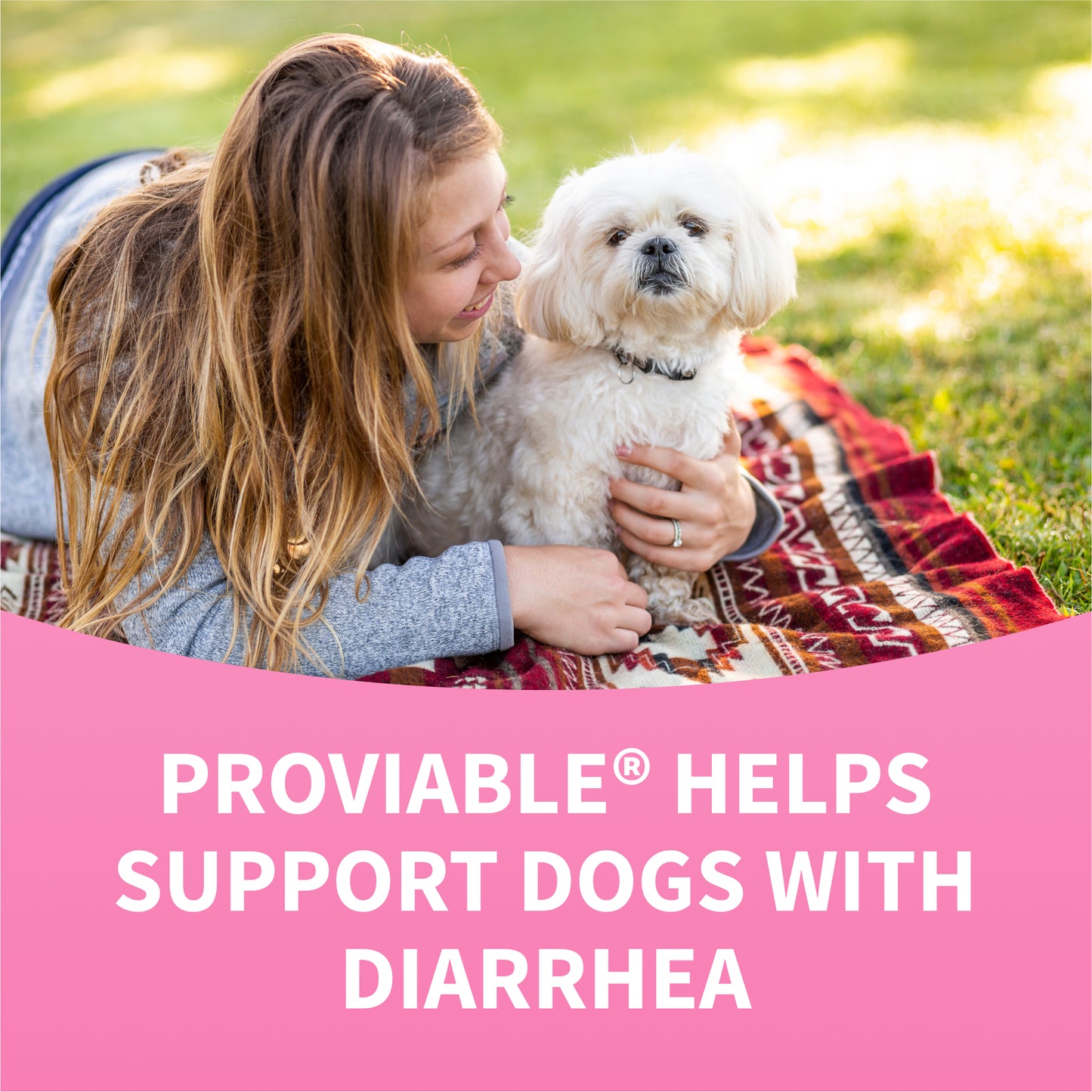proviable-dc chew tablets for dogs, 60 ct