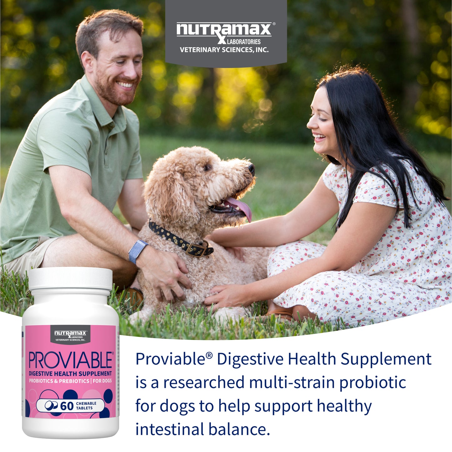 proviable-dc chew tablets for dogs, 60 ct