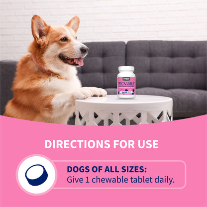 Proviable-DC Chew Tablets for Dogs, 60 ct