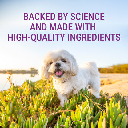 Denosyl for Small Dogs and Cats  30 Stabilized Tablets