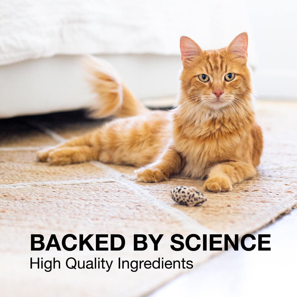 denosyl for small dogs and cats  30 stabilized tablets