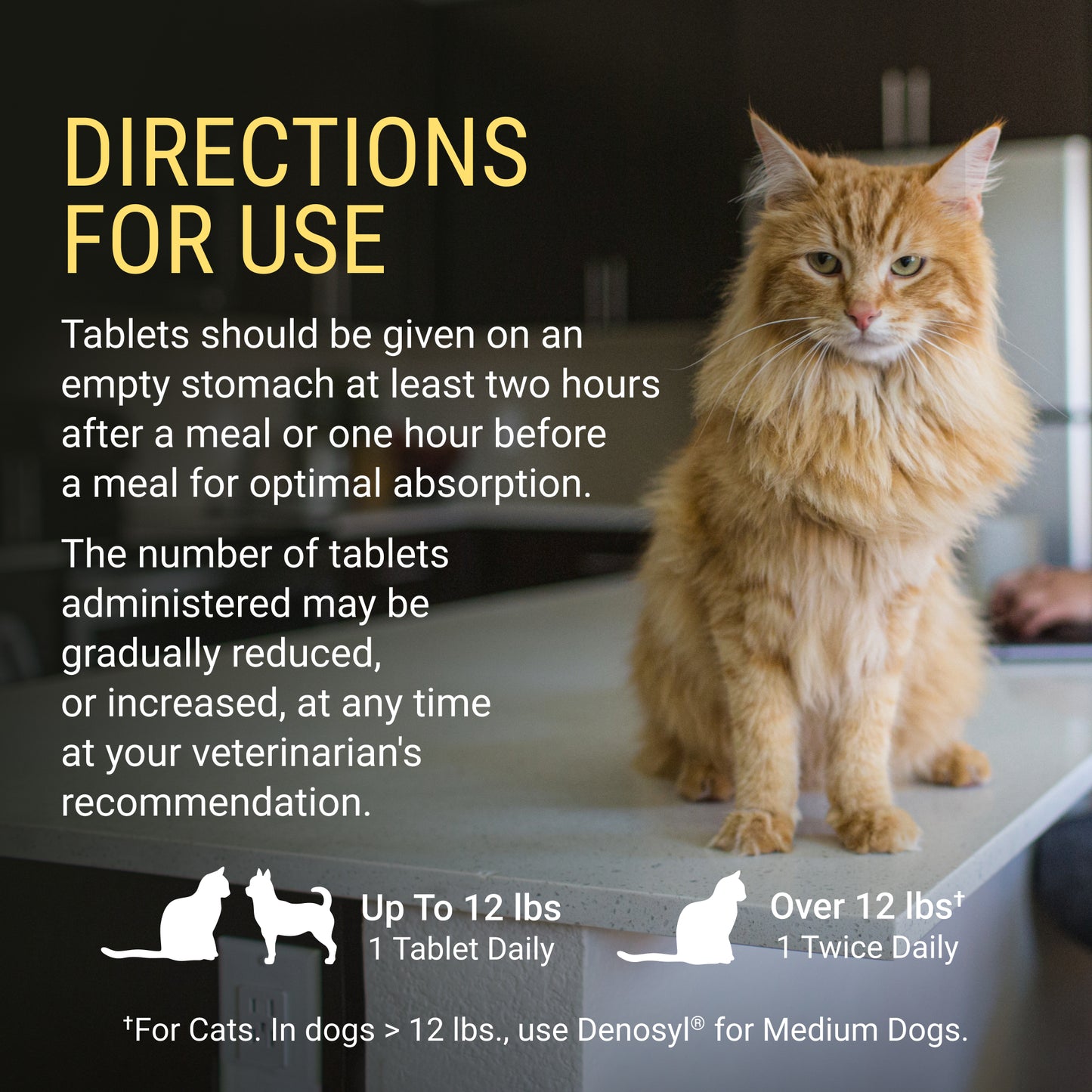 denosyl for small dogs and cats  30 stabilized tablets