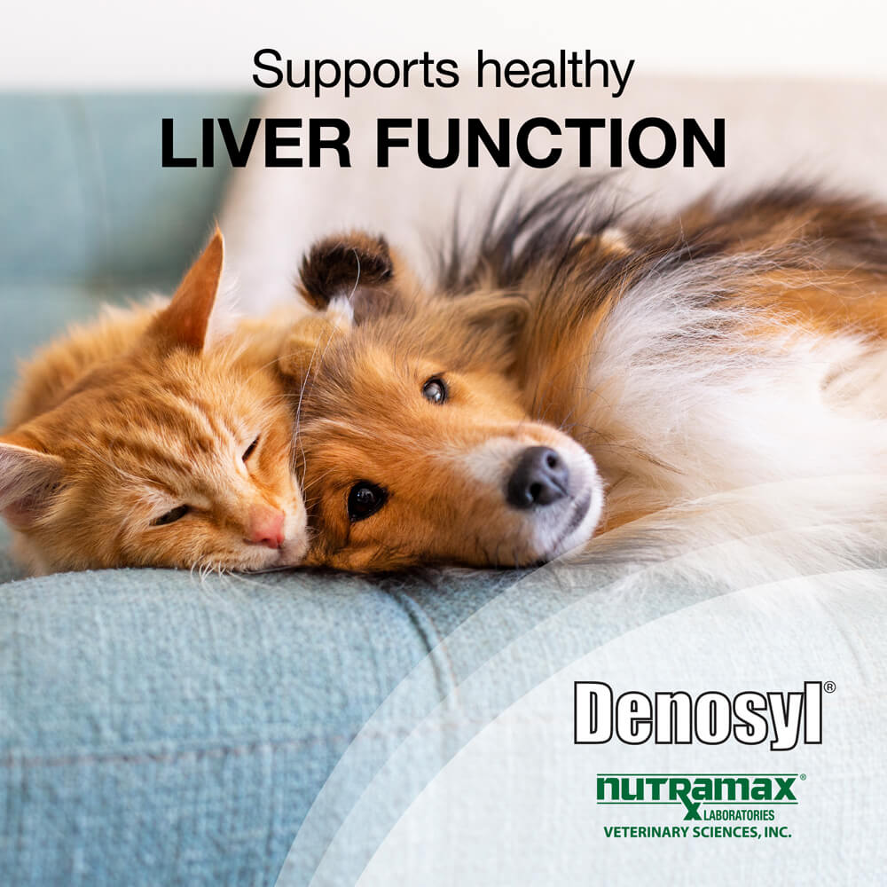 denosyl for small dogs and cats  30 stabilized tablets