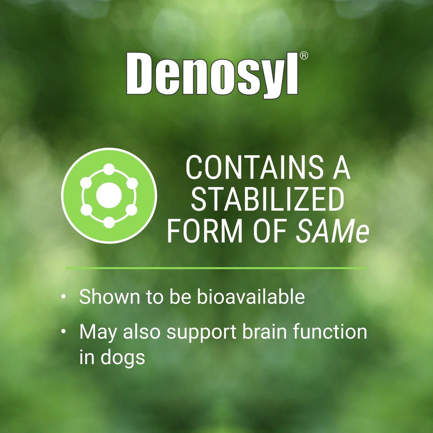 denosyl for medium dogs  225 mg  30 stabilized tablets