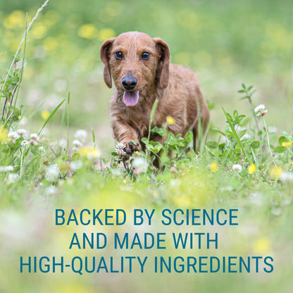 Denosyl for Medium Dogs  225 mg  30 Stabilized Tablets
