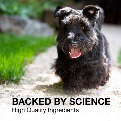 Denosyl for Medium Dogs  225 mg  30 Stabilized Tablets