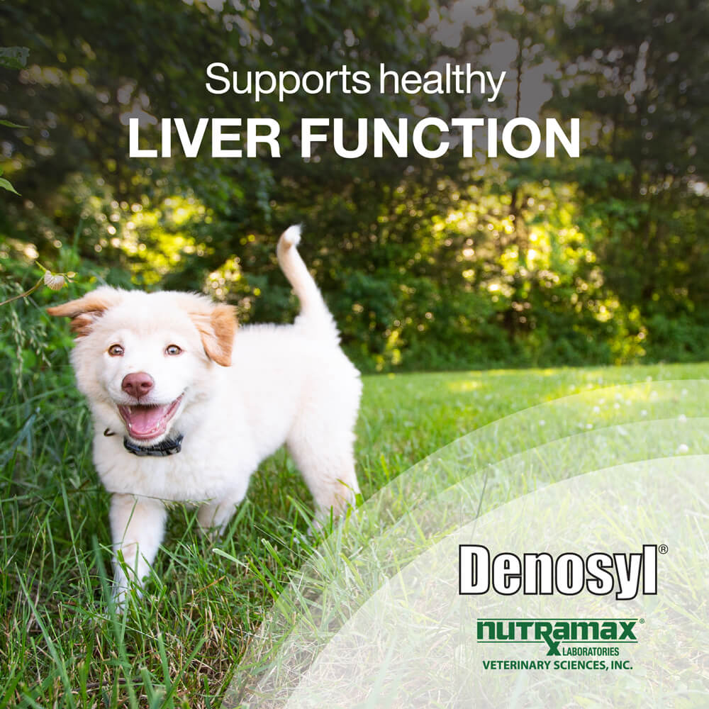 denosyl for medium dogs  225 mg  30 stabilized tablets
