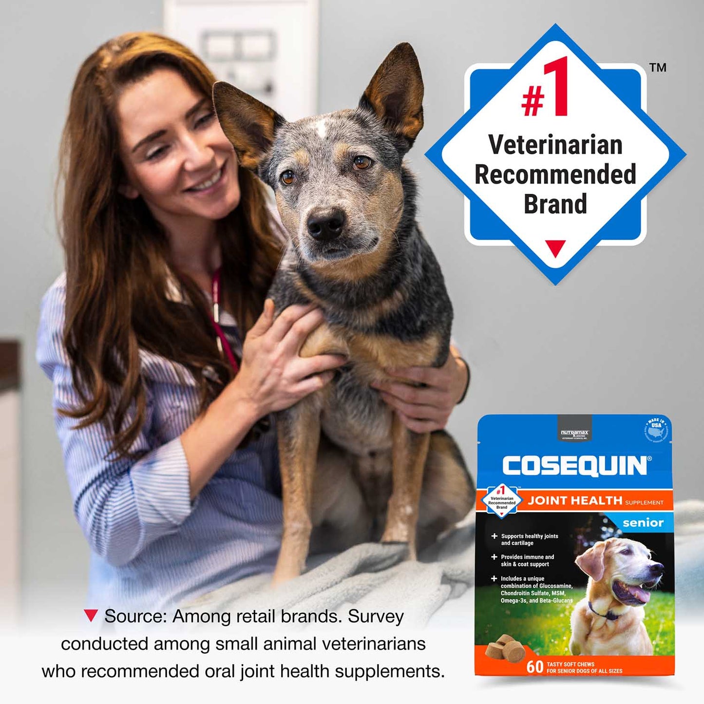 cosequin senior soft chews for dogs  60ct.