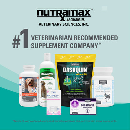 Nutramax Dasuquin for Small to Medium Dogs, Joint Health Supplement, Soft Chews, 84 Count