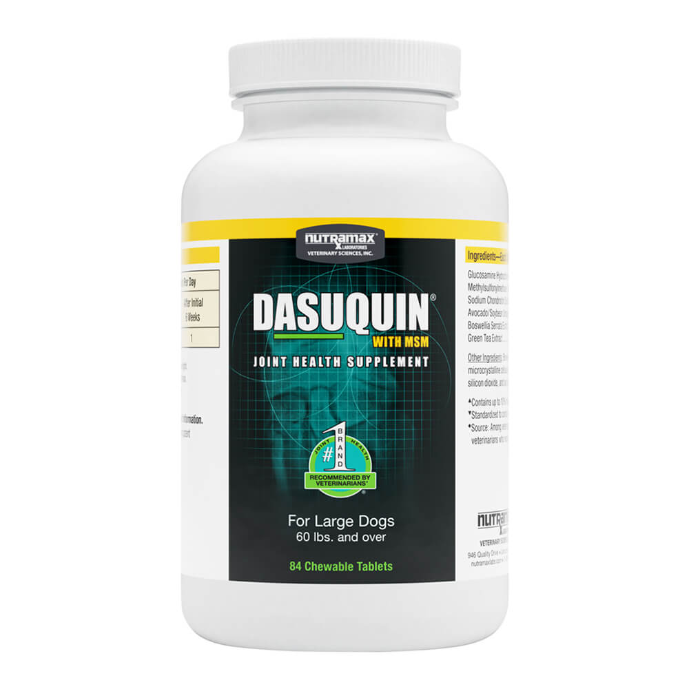 nutramax dasuquin with msm for large dogs 60lbs and over, joint health supplement, chewable tablets, 84 count