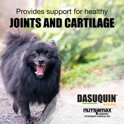 Nutramax Dasuquin with MSM for Small to Medium Dogs, Joint Health Supplement, Soft Chews, 84 Count