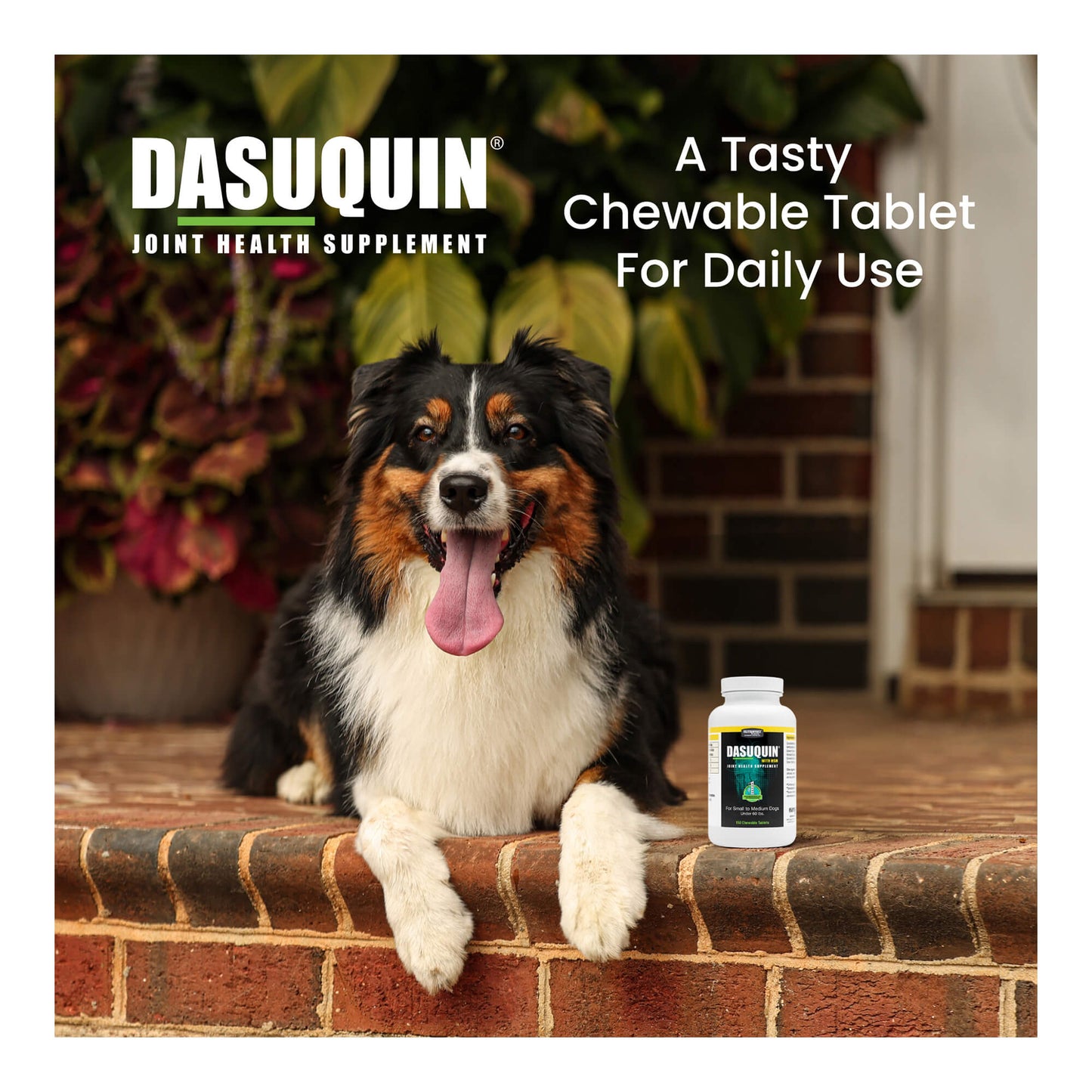 nutramax dasuquin with msm for small to medium dogs, joint health supplement, chewable tablets, 150 count