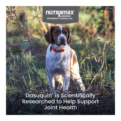 Nutramax Dasuquin with MSM for Small to Medium Dogs, Joint Health Supplement, Chewable Tablets, 150 Count