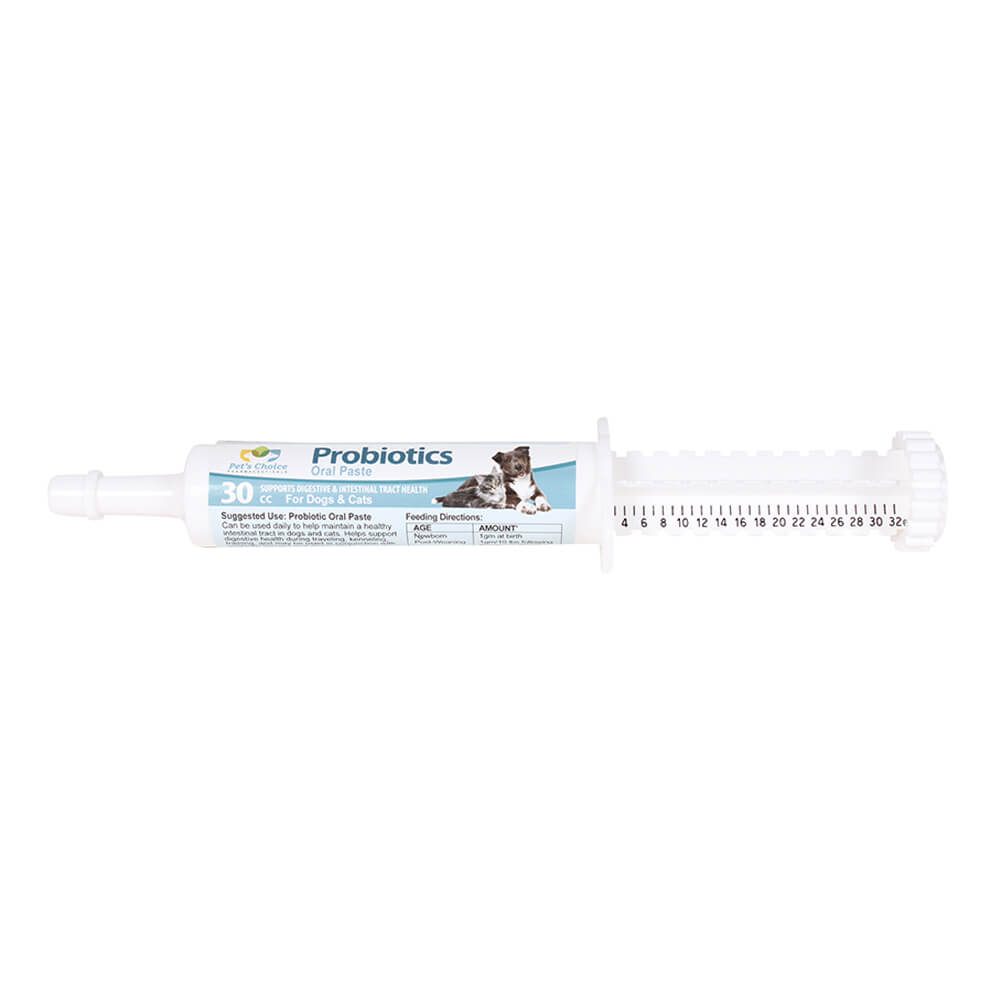 ez-soothe probiotic oral paste, 30cc