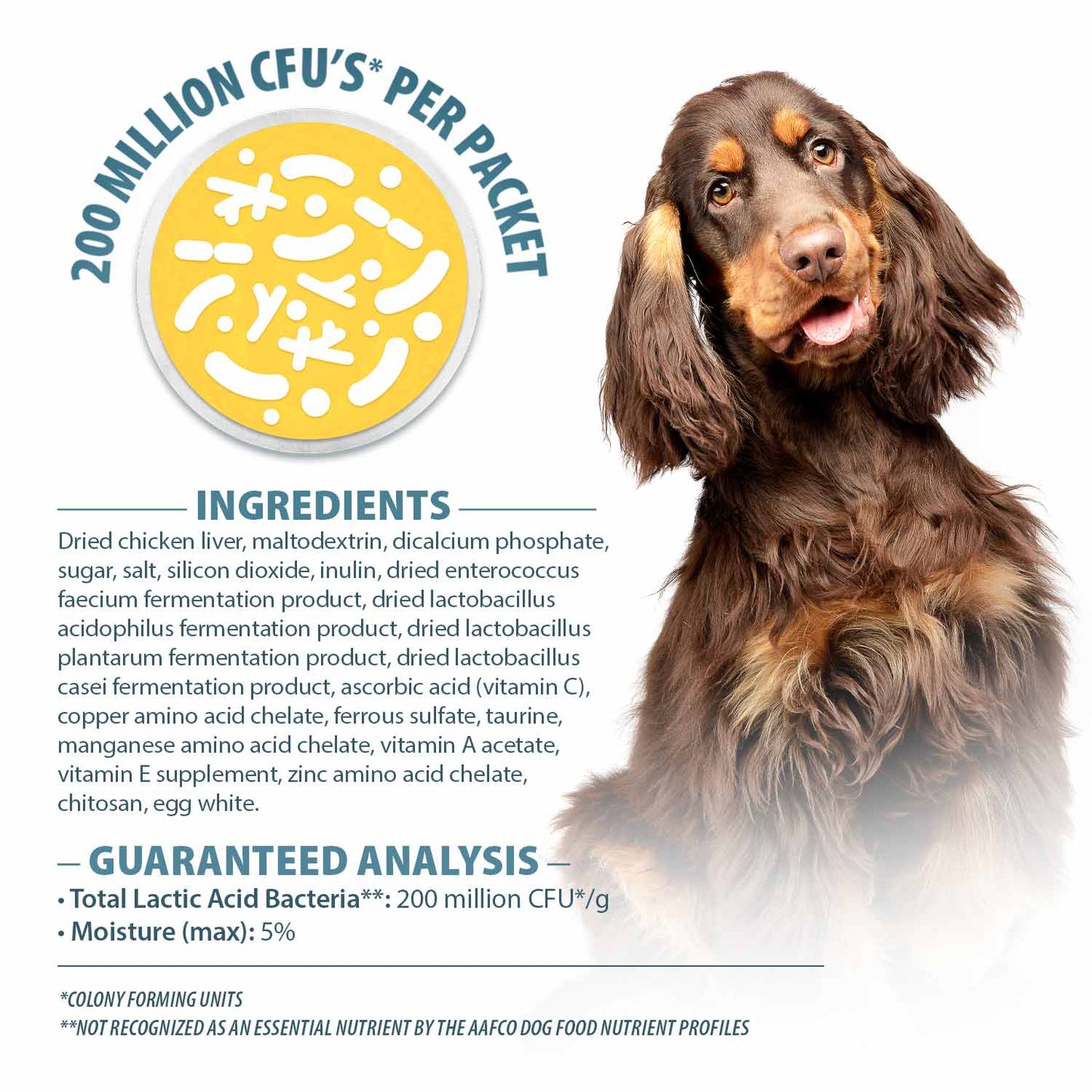 pet's choice gut instincts probiotic supplement powder packets for dogs, 30 ct, veterinary formulated dog probiotics with vitamins for gut health, digestive balance, diarrhea support, chicken flavor