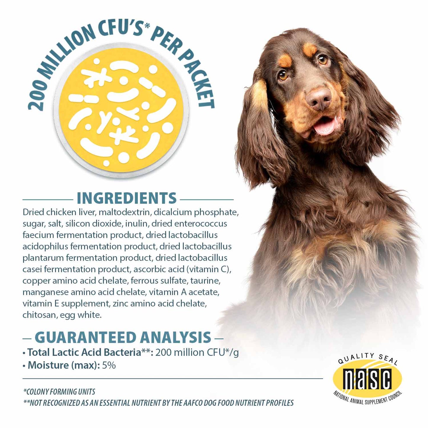 pet's choice gut instincts probiotic supplement powder packets for dogs, 30 ct, veterinary formulated dog probiotics with vitamins for gut health, digestive balance, diarrhea support, chicken flavor