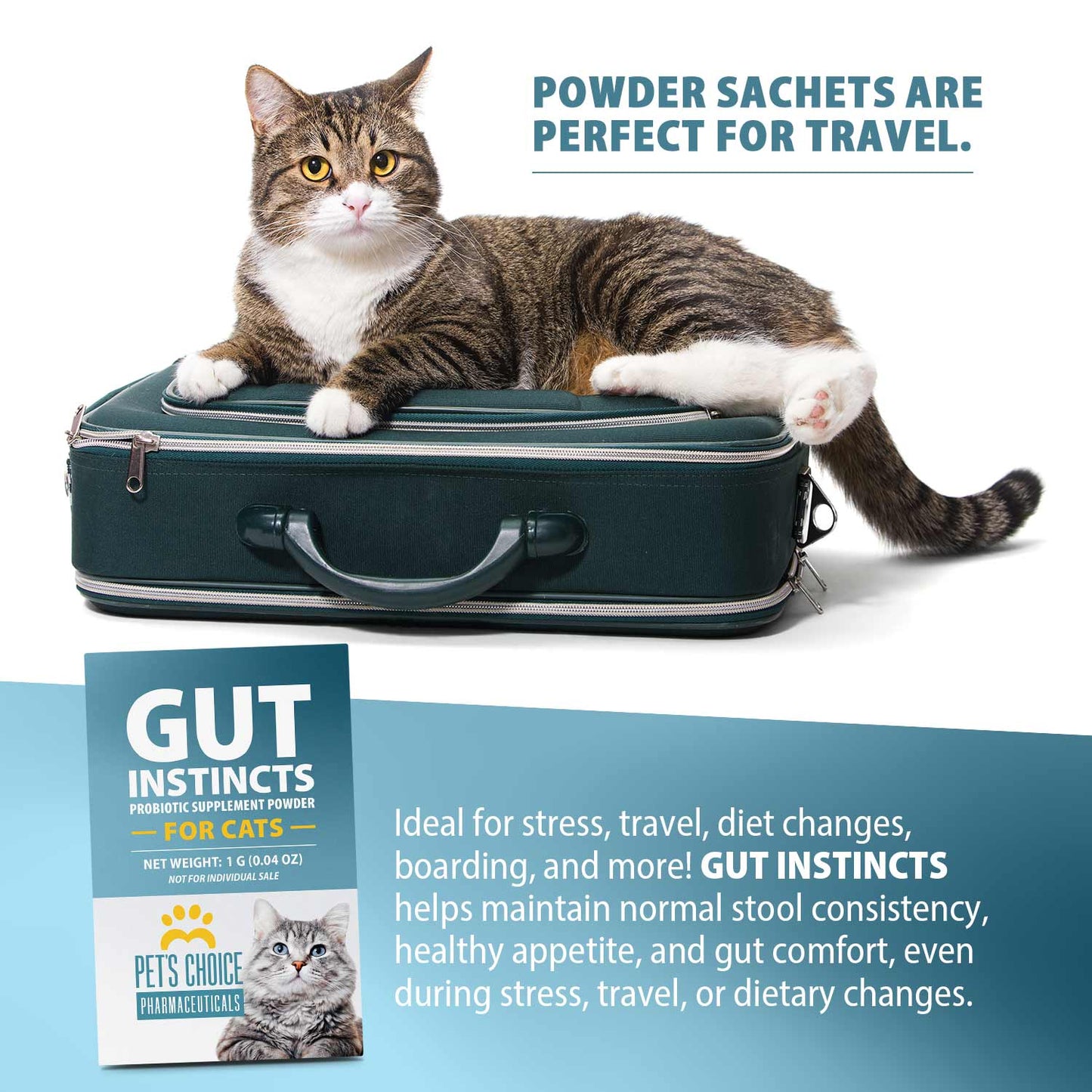 pet's choice gut instincts probiotic supplement powder packets for cats, 30 ct, veterinary formulated cat probiotics with vitamins for gut health, digestive balance, diarrhea support, chicken flavor