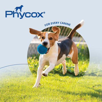 Phycox Canine Joint Support Soft Chews, 120 ct