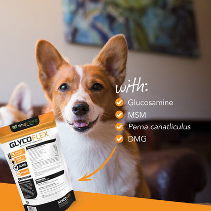 Glyco Flex 3 Joint Support for Small Dogs  60 Bite Sized Chews