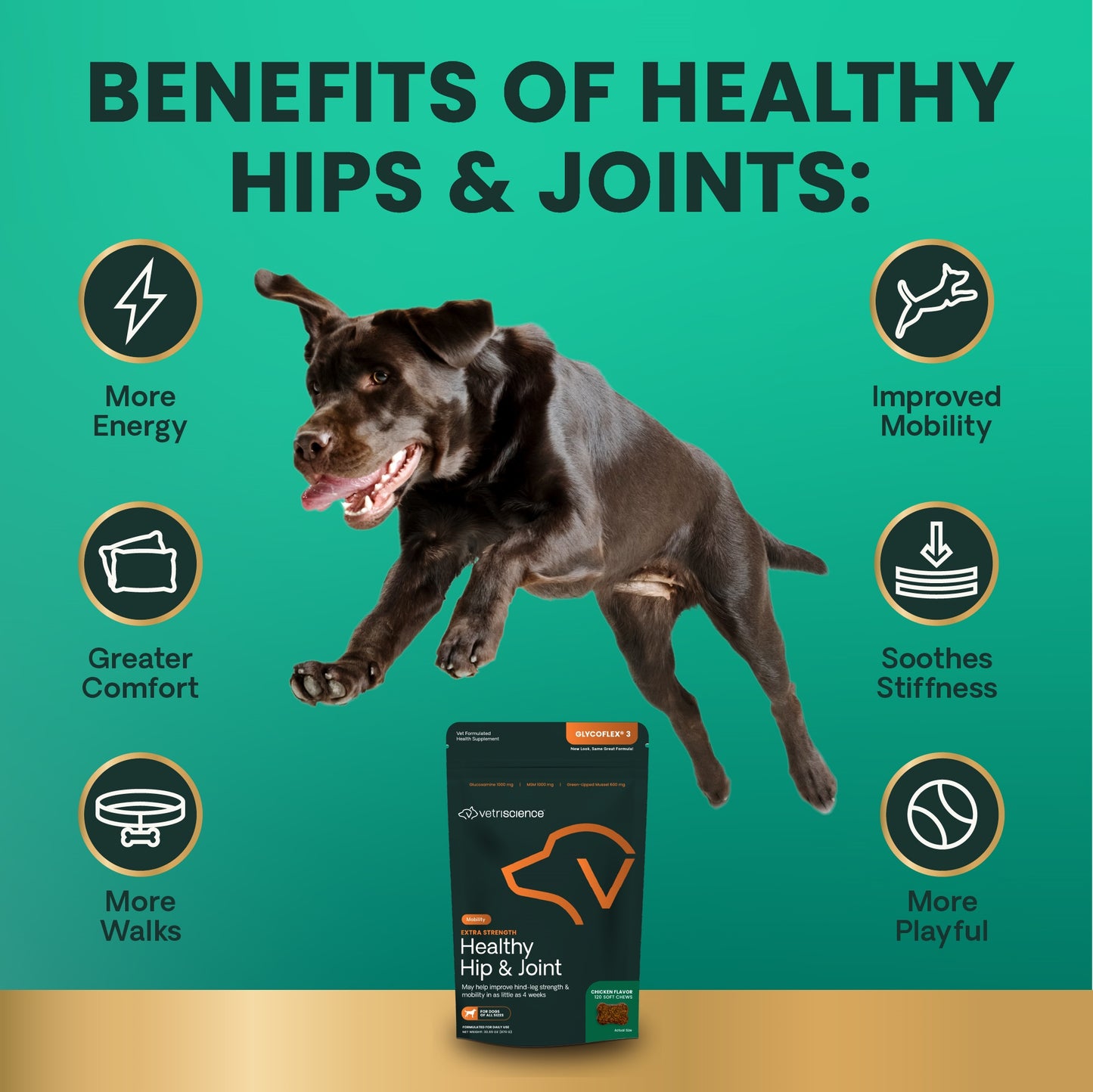 glyco flex 3 joint support for dogs  120 bite sized chews