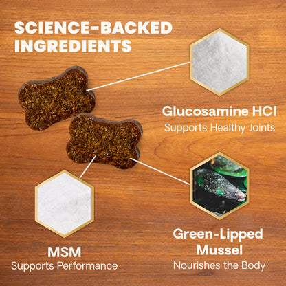 Glyco Flex 3 Joint Support for Dogs  120 Bite Sized Chews
