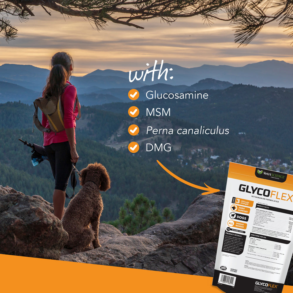 glyco flex 3 joint support for dogs  120 bite sized chews