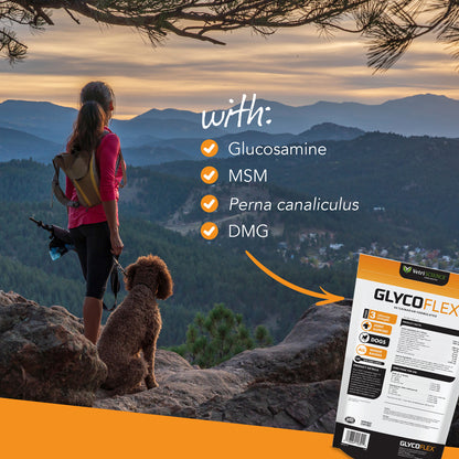 Glyco Flex 3 Joint Support for Dogs  120 Bite Sized Chews