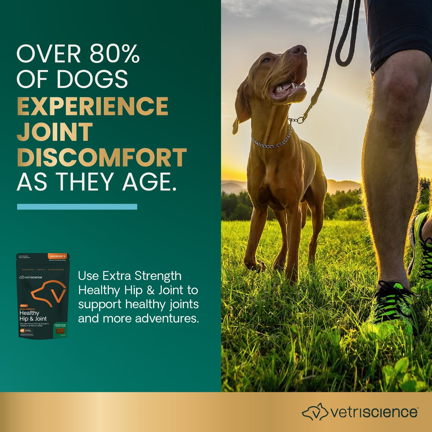 glyco flex 3 joint support for dogs  120 bite sized chews