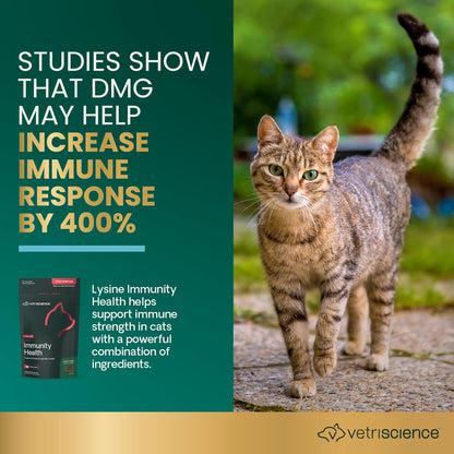VetriScience Vetri Lysine Plus for Cats  120 Bite-Sized Chews