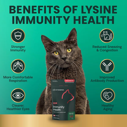 VetriScience Vetri Lysine Plus for Cats  120 Bite-Sized Chews