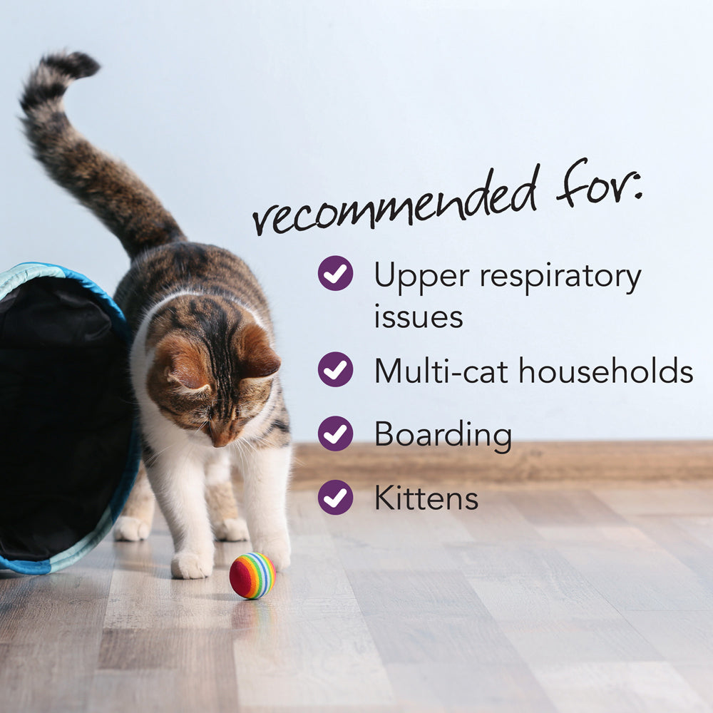 vetriscience vetri lysine plus for cats  120 bite-sized chews