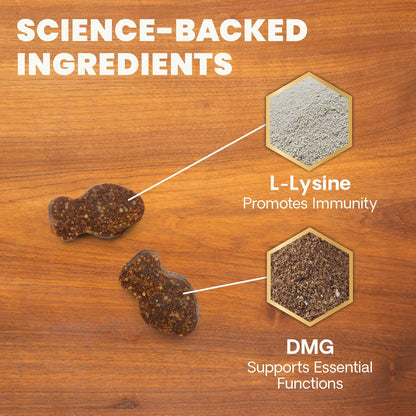 VetriScience Vetri Lysine Plus for Cats  120 Bite-Sized Chews