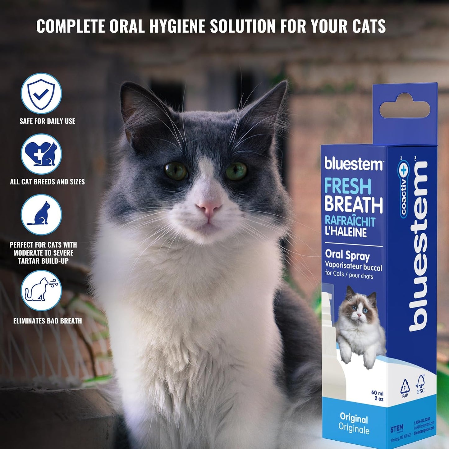bluestem oral care cat spray 2 fl oz