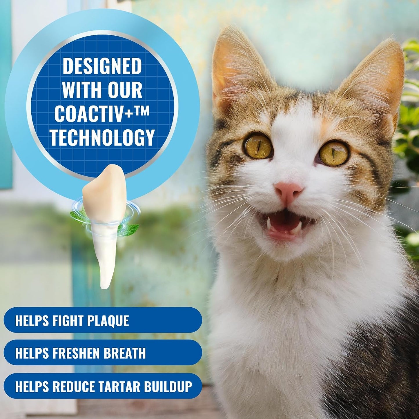bluestem oral care cat spray 2 fl oz