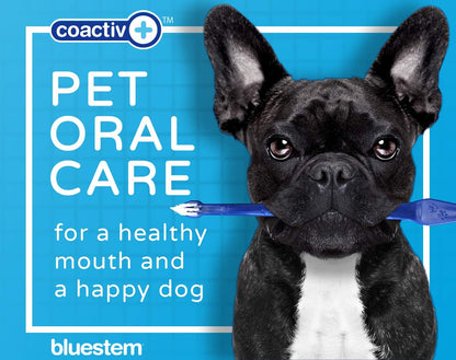 bluestem Toothpaste Chicken 2.5 oz