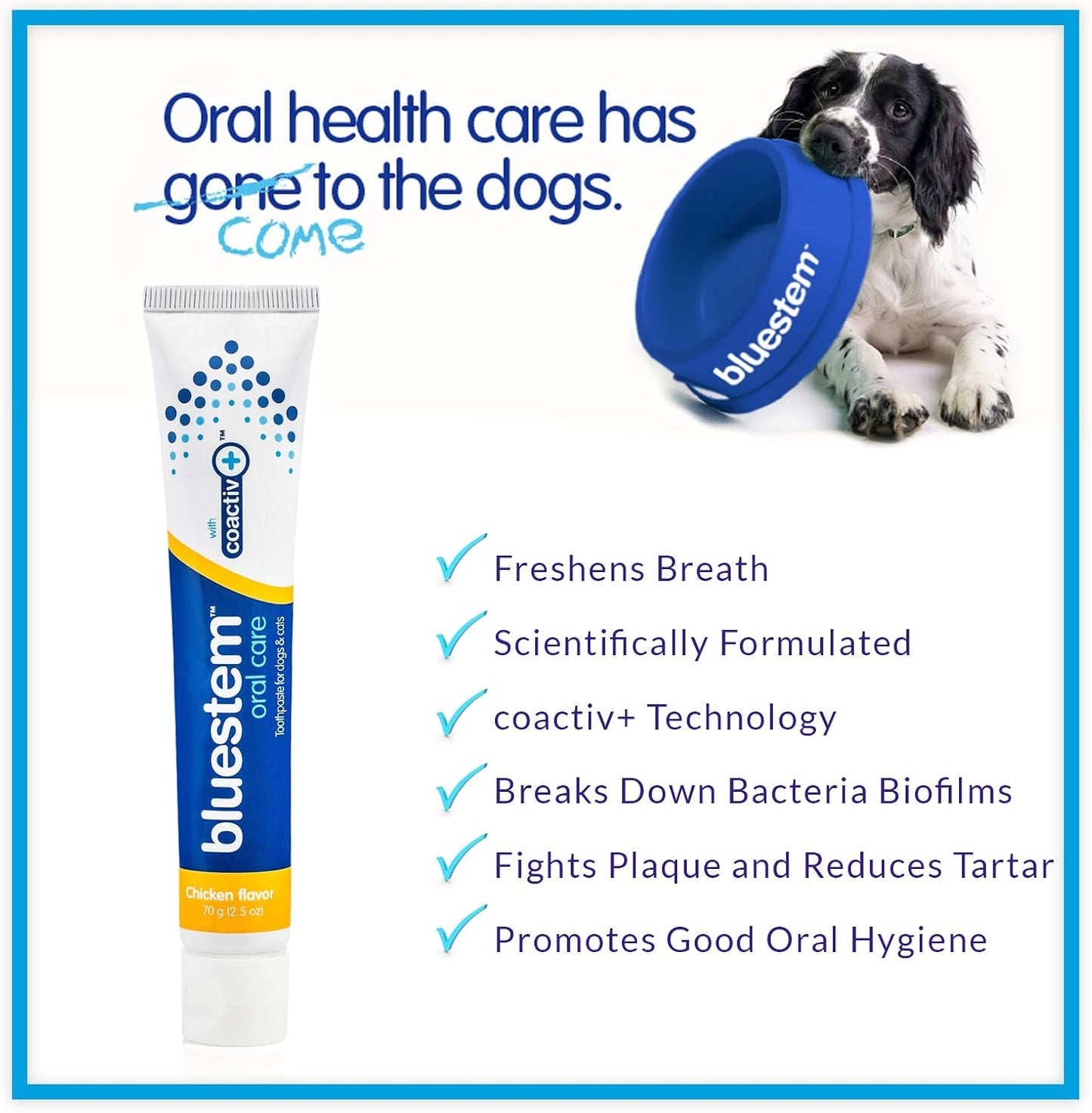 bluestem toothpaste chicken 2.5 oz