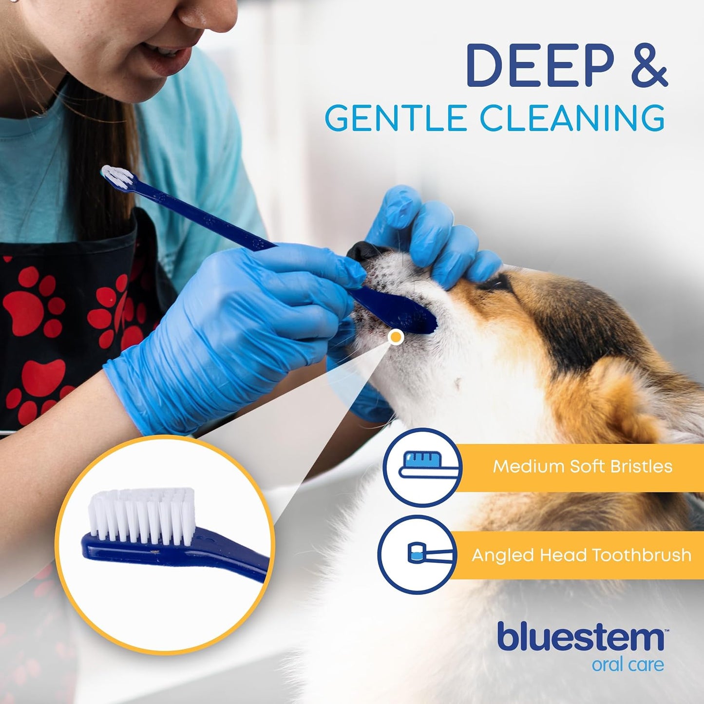bluestem toothbrush/finger brush kit