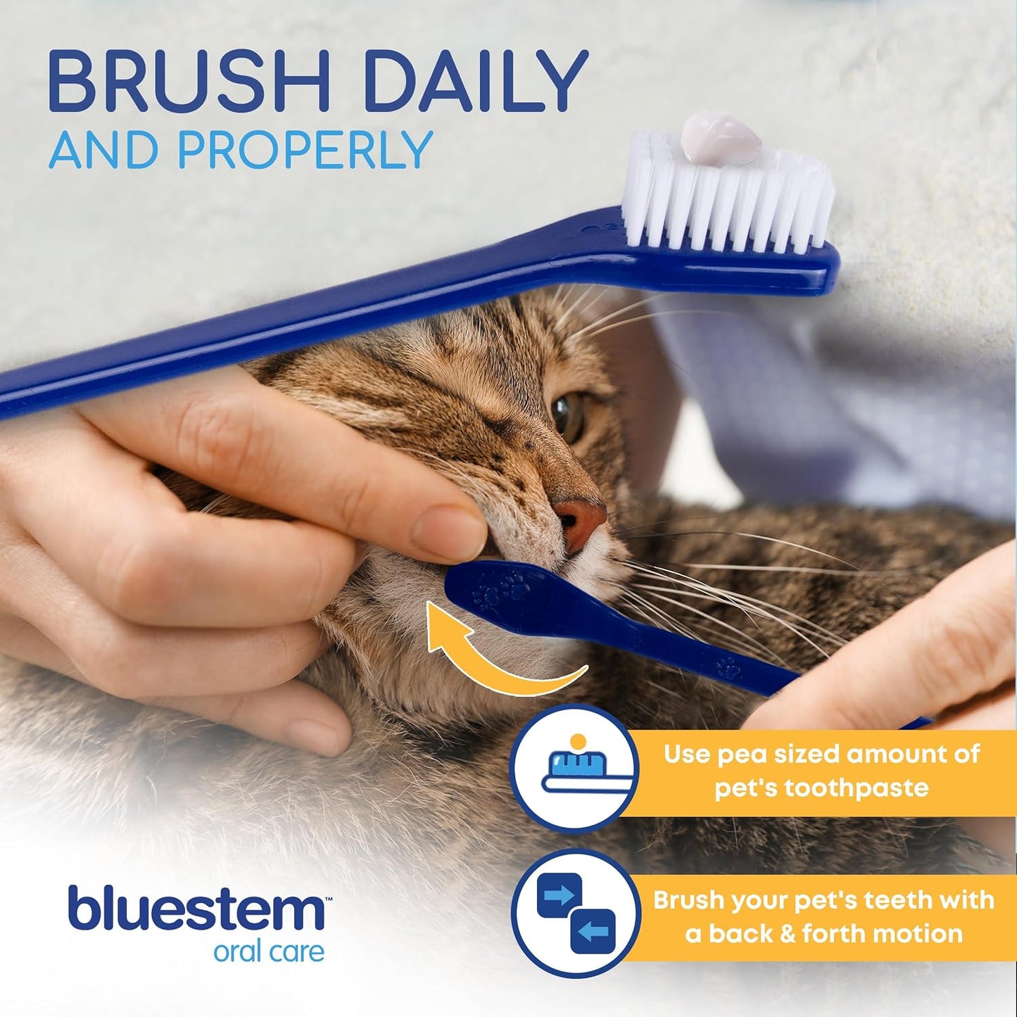bluestem toothbrush/finger brush kit
