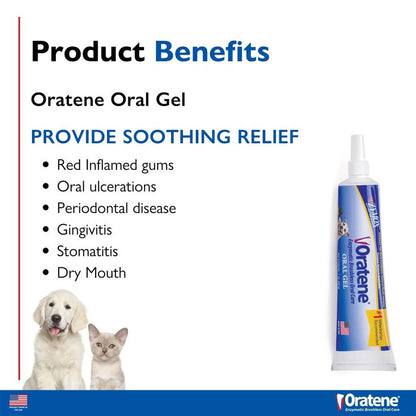 Oratene Veterinarian Antiseptic Oral Gel   1.0 oz