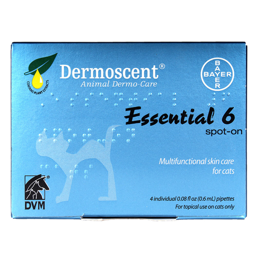 dermoscent essential 6 spot on for cats