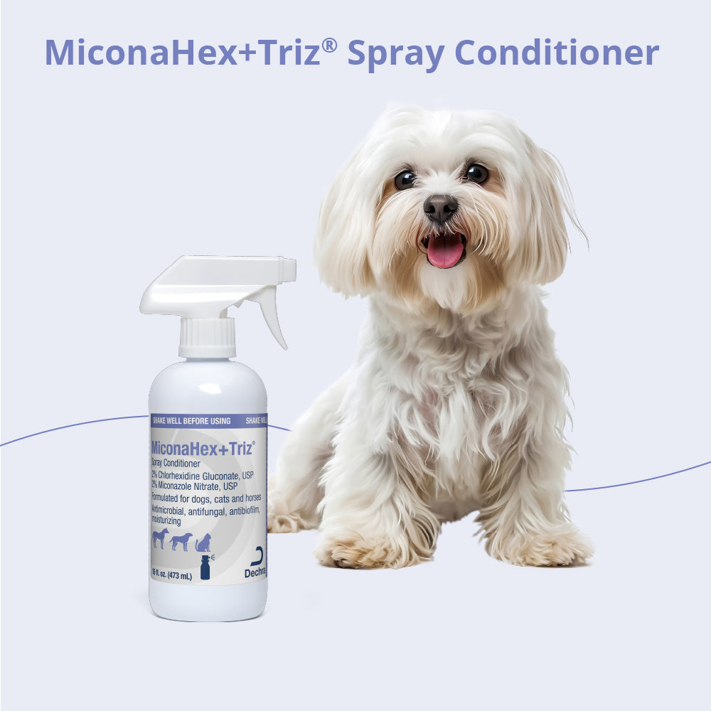 miconahex+ triz spray for dogs  cats and horses, 16 oz