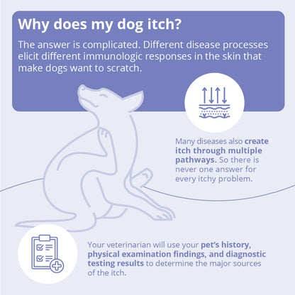 Miconahex+ Triz Spray for Dogs  Cats and Horses, 16 oz